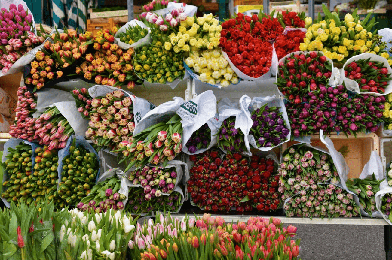 Mercado de Tulipanes