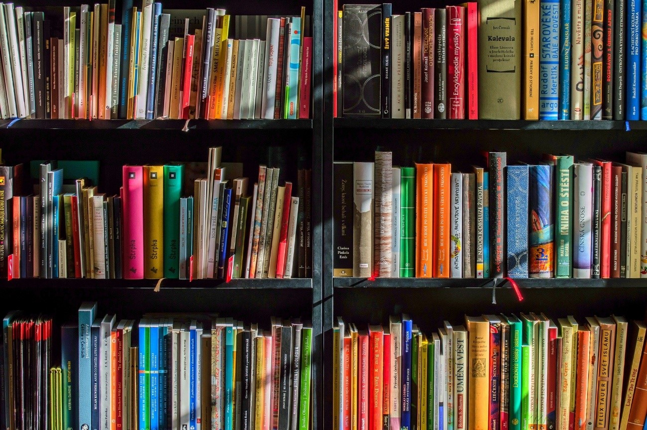 Estantería con libros | Pixabay